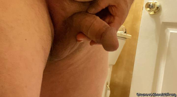 Photo of a equipment from Bicunova