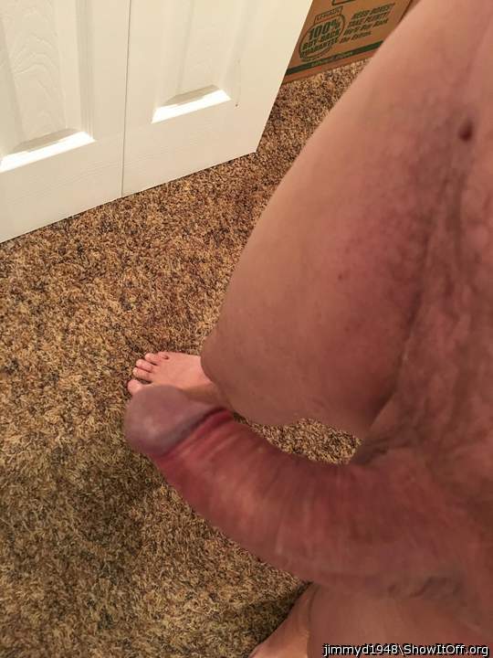 Photo of a middle leg from jimmyd1948