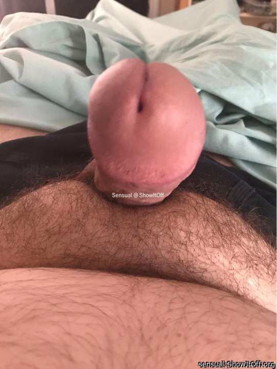 My fat cock is back!