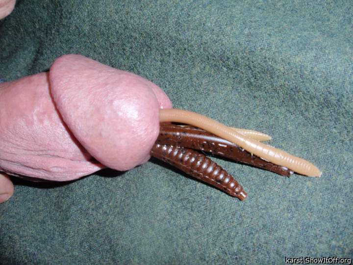 Photo of a wiener from karst