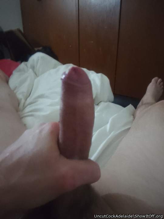 Photo of a bald-headed mouse from UncutCockAdelaide