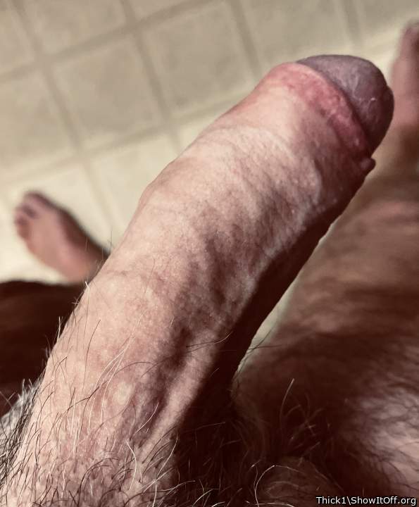 Photo of a sausage from Thick1