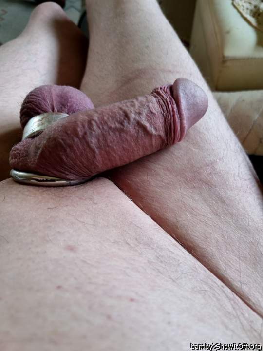 cute veiny dick and glans with wrinkled neck!   