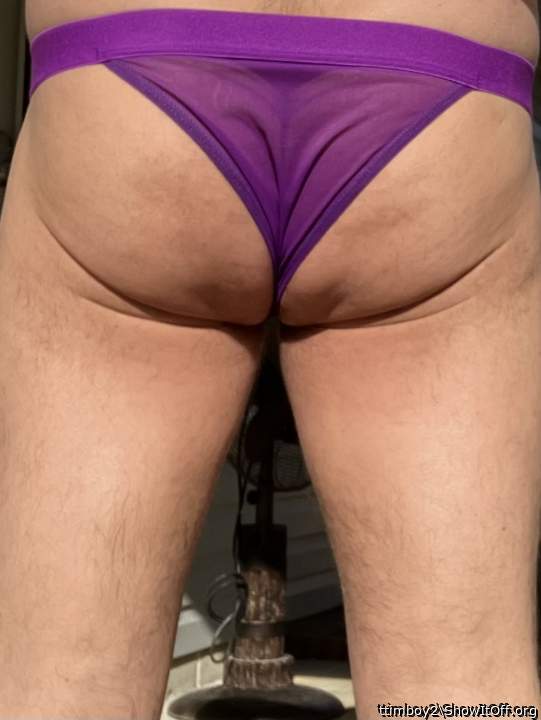 Photo of a python from ttimboy2