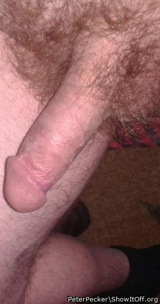 Photo of a dong from PeterPecker