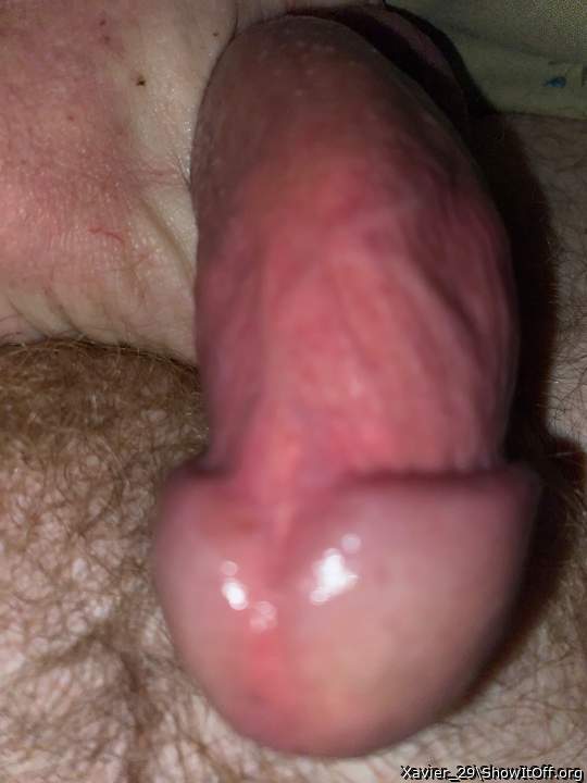 Photo of a middle leg from Xavier_29