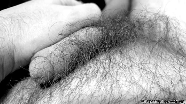 Great pic of a hot hairy body with a nice dick shining throu