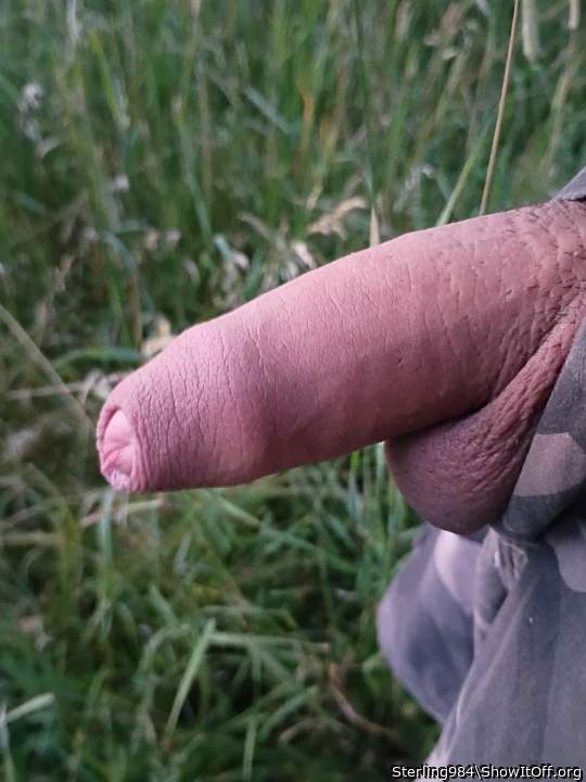 Photo of a boner from Sterling984
