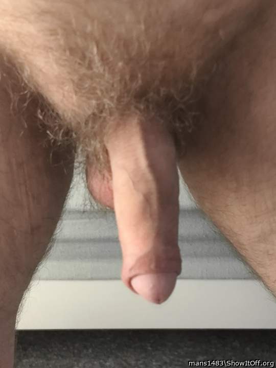 Photo of a penis from mans1483