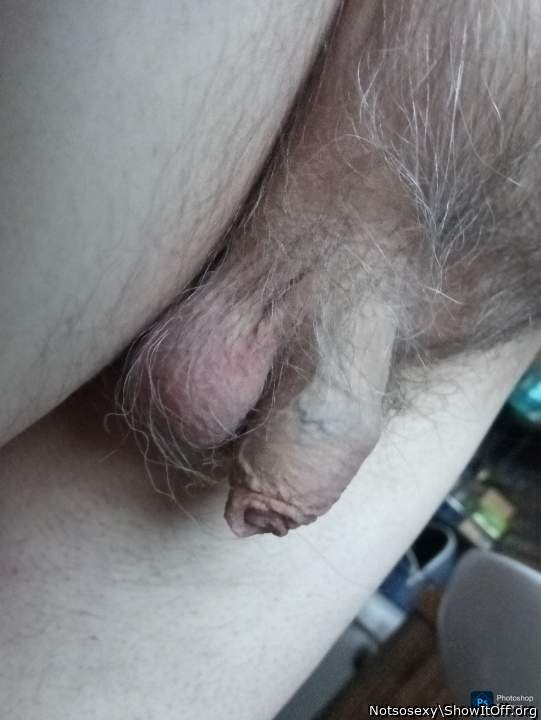 Photo of a bald-headed mouse from Notsosexy