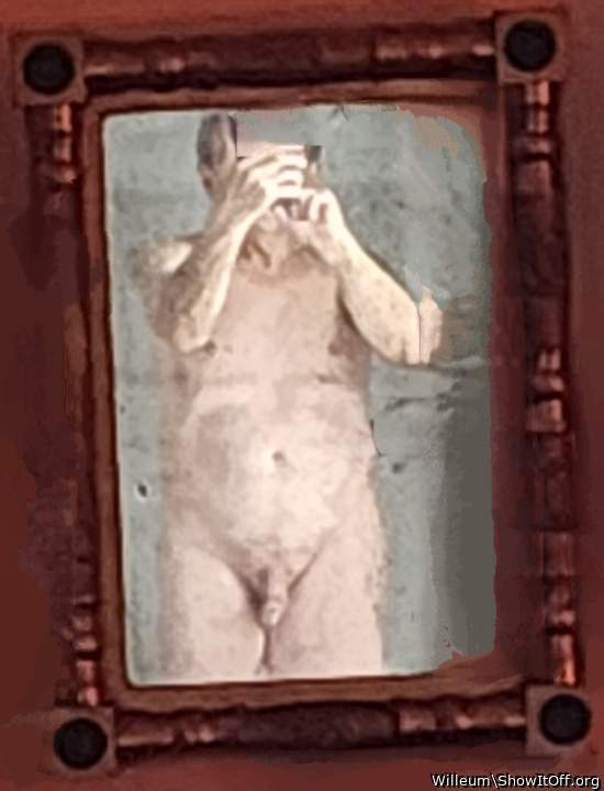 Photo of a weasel from Willeum