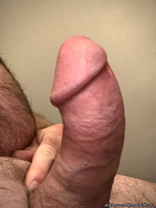 I think your cock is so lovely, I'd love to play with it and