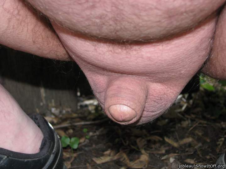 Photo of a python from jobleau
