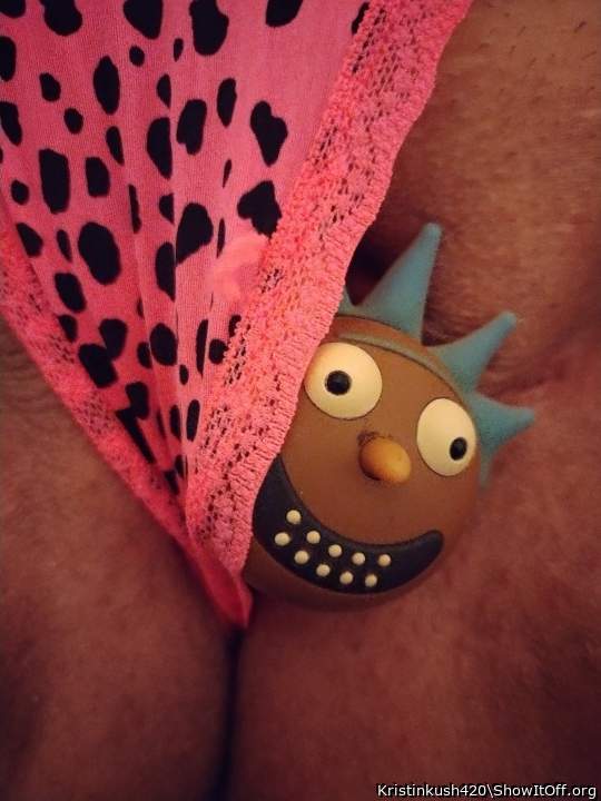 Photo of a rooster from Kristinkush420