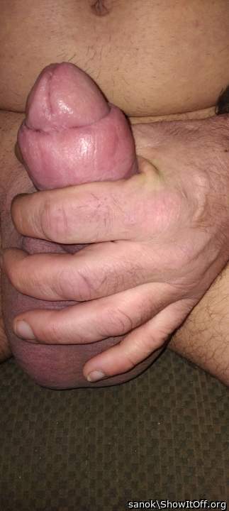 Photo of a cock from sanok