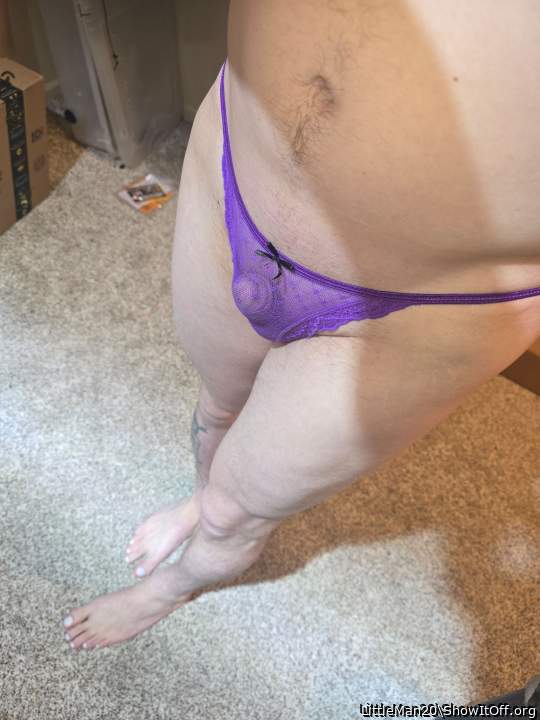 Photo of a middle leg from LittleMan20