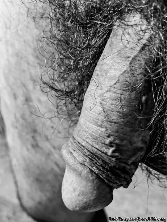 BnW Cock