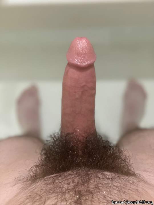 Photo of a wiener from Dexter