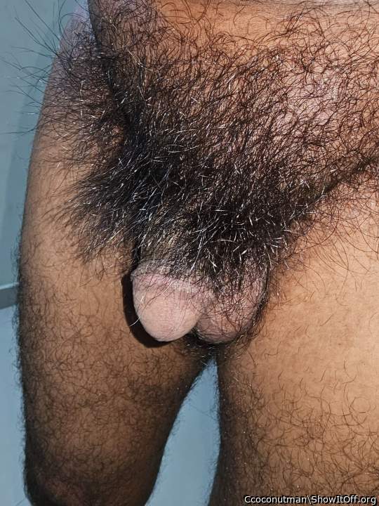 Photo of a python from Ccoconutman