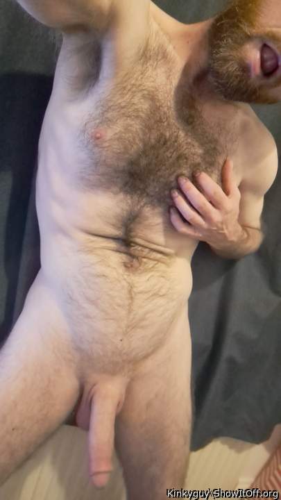 Photo of a python from Kinkyguy