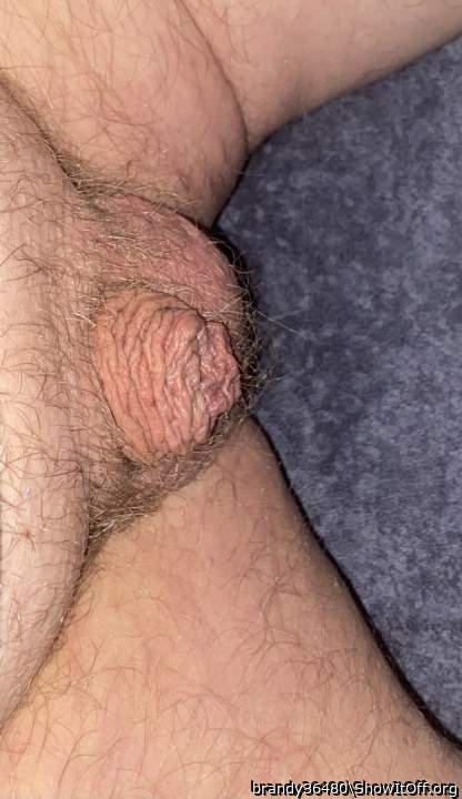 Very nice small cock.