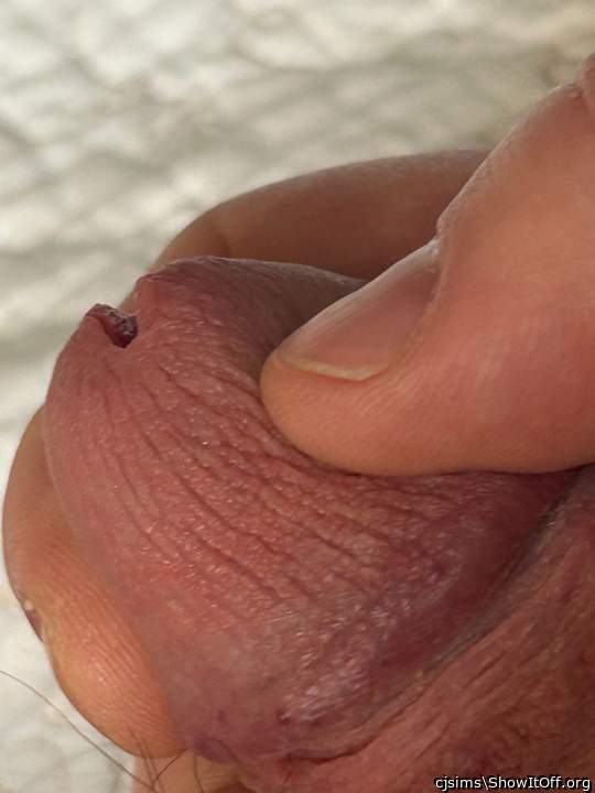 Photo of a wiener from cjsims