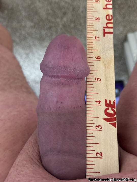 Photo of a cock from thicknsmooth