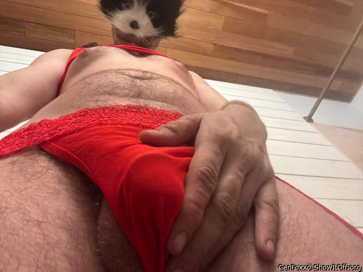 Photo of a boner from CenFoxxo