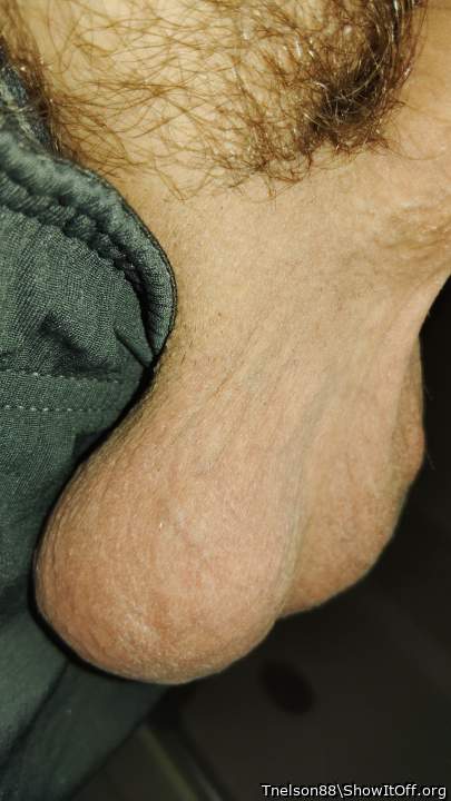 Photo of a bat from Tnelson88