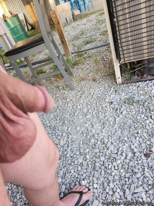 Testicles Photo from myhouse#3