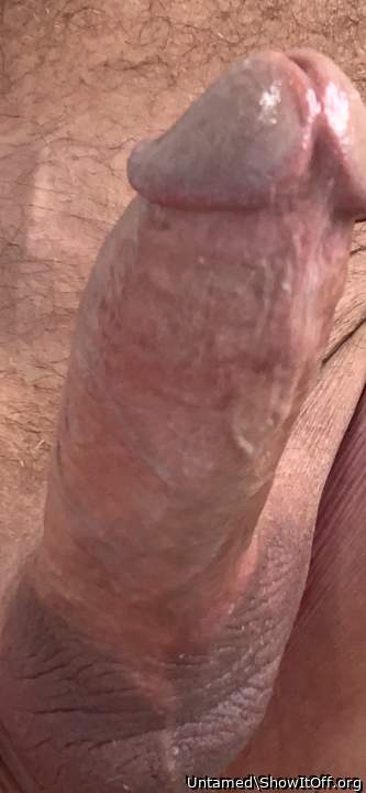 Photo of a short leg from Untamed