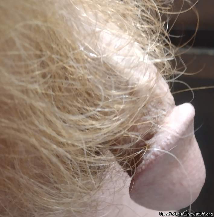 Photo of a bald-headed mouse from HereToOgle