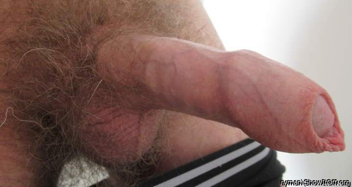 Showing shaft, head and foreskin