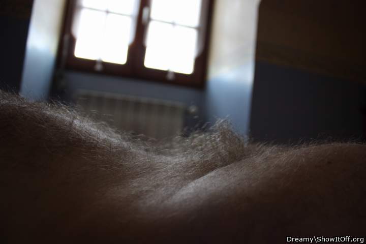 Photo of a private part from Dreamy