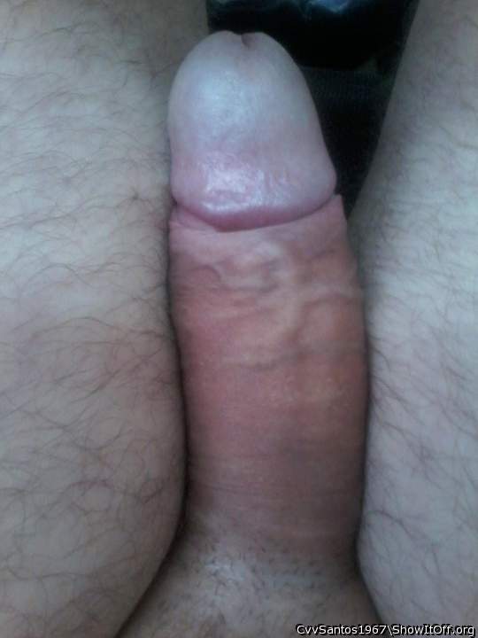 Photo of a penile from CvvSantos1967