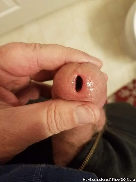 Photo of a dong from Hawkeshedonist