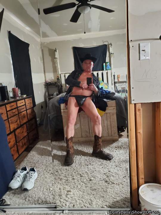 Photo of a cavalier from Dustyballs