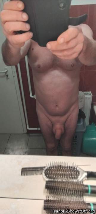 Photo of a rooster from sanok