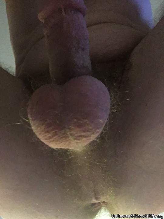 Photo of a ram rod from Hellaweed