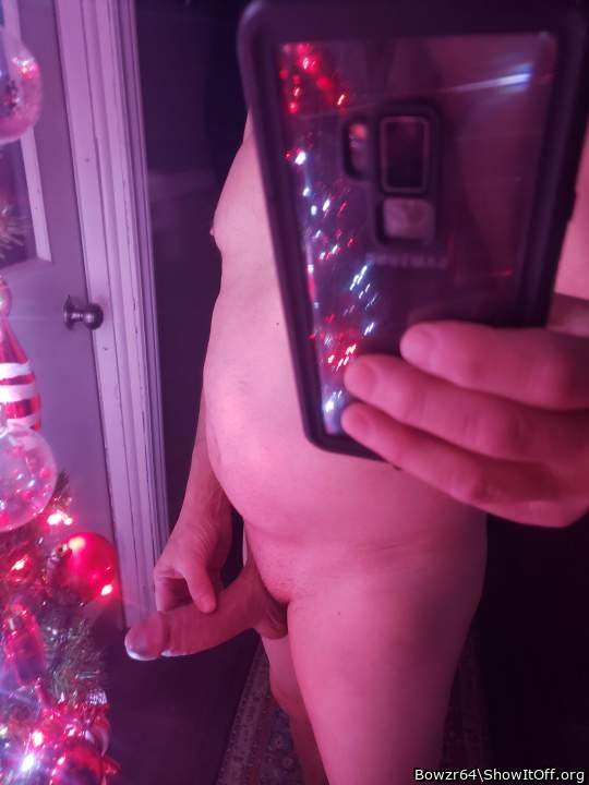 Photo of a python from Bowzr64