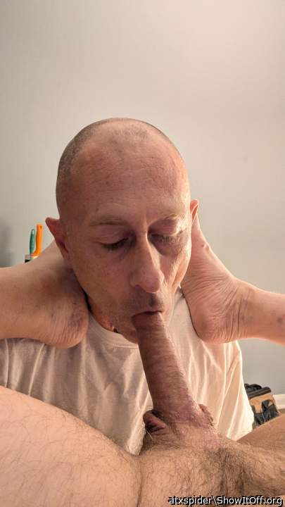 Photo of a python from atxspider