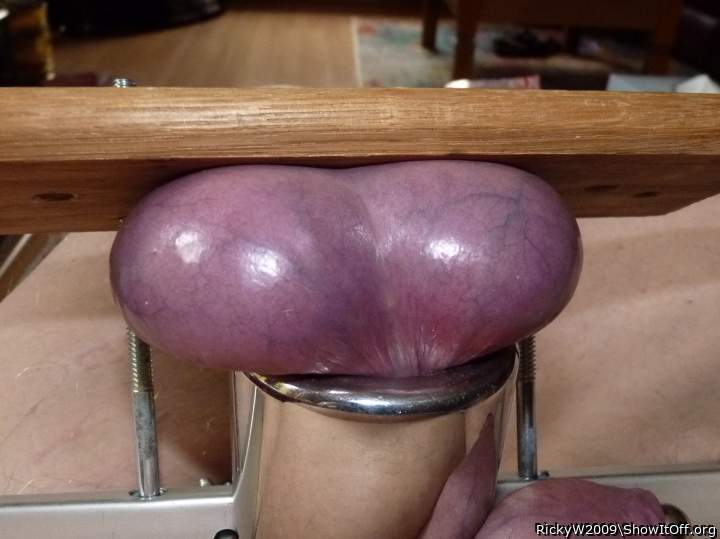 Engorged balls stretched tight and so very sensitive.      