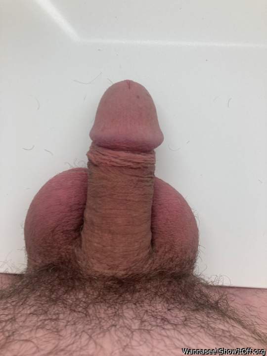 Photo of a hot-rod from Wannasee