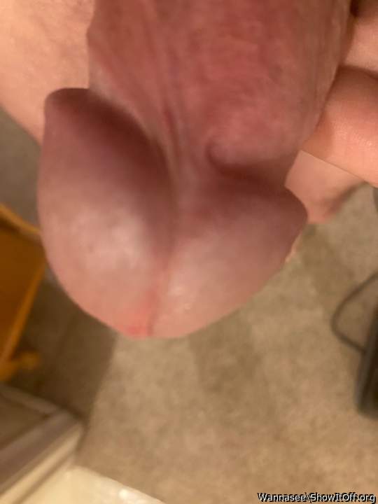 Photo of a cock from Wannasee