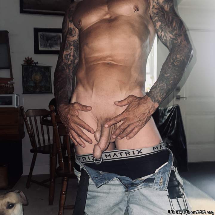 Photo of a pecker from BBlueys