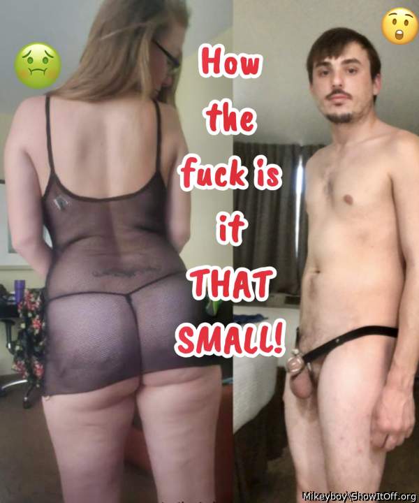 Photo of a lizard from Mikeyboy