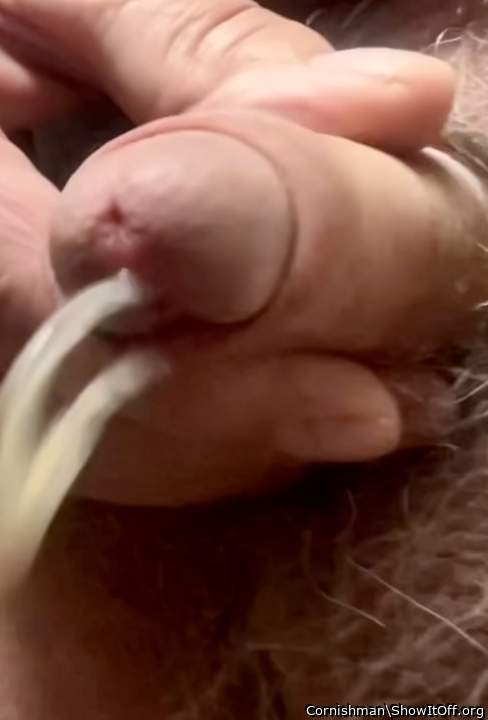 Photo of a love muscle from Cornishman