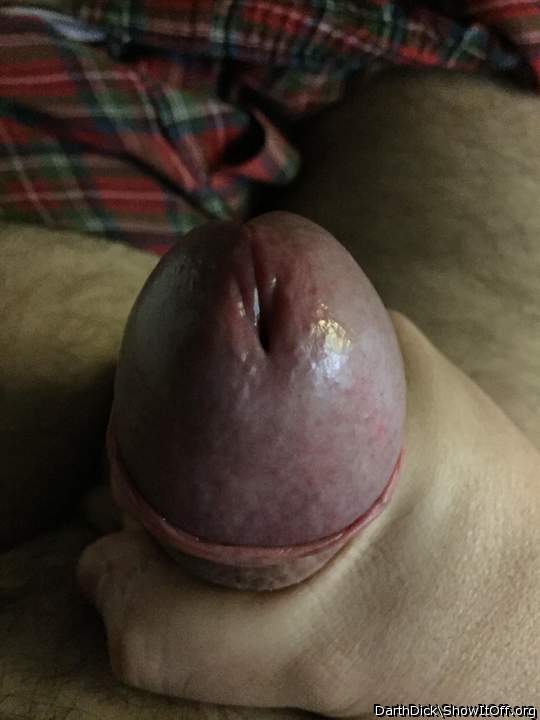 Photo of a meat stick from DarthDick