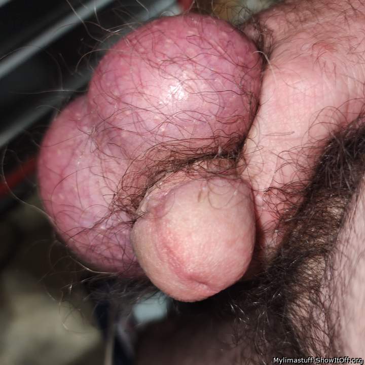 Testicles Photo from Mylimastuff