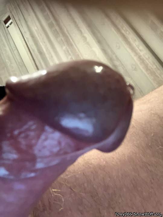 Photo of a lizard from Foxy065